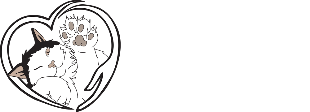 Team Charity Case Logo