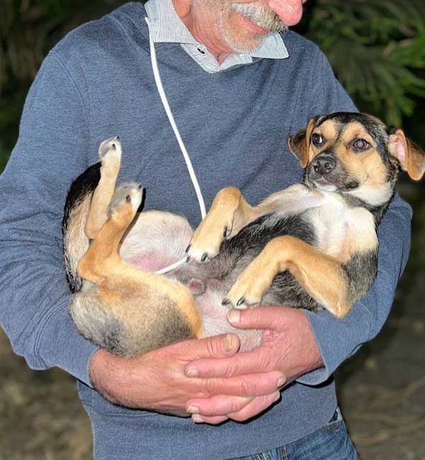 Man cradling puppy in arms