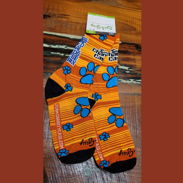 Team Charity Case Socks Product Image